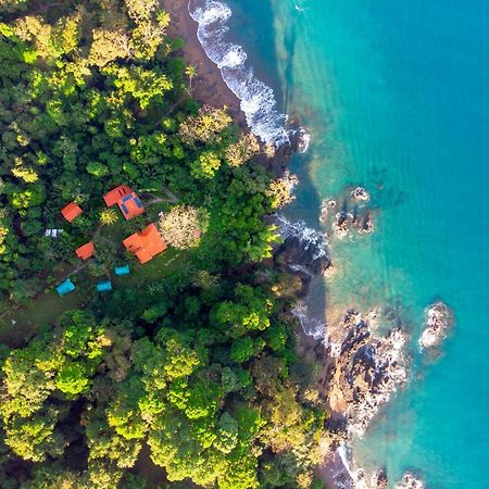 Las Caletas Lodge Drake Bay Ngoại thất bức ảnh