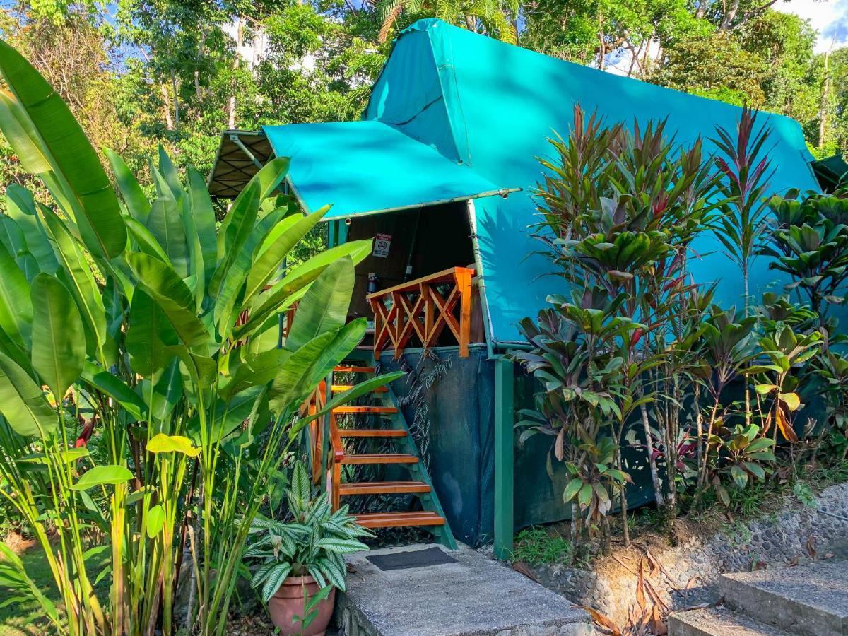 Las Caletas Lodge Drake Bay Ngoại thất bức ảnh