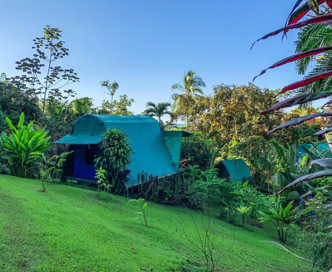 Las Caletas Lodge Drake Bay Ngoại thất bức ảnh