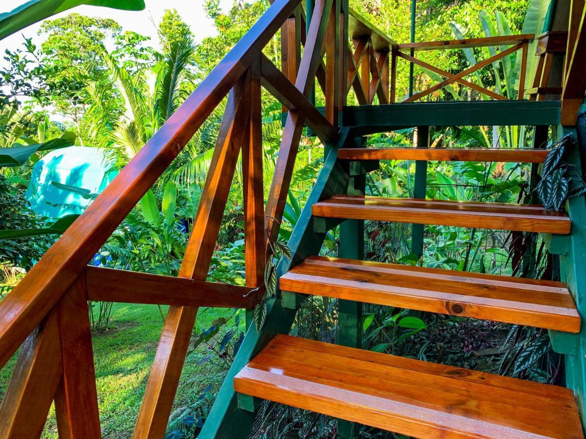 Las Caletas Lodge Drake Bay Ngoại thất bức ảnh